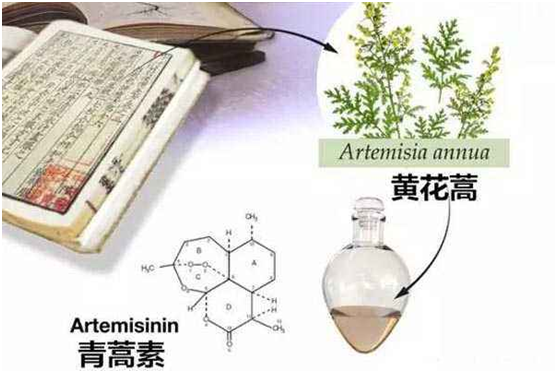 ld在线,ld在线(中国)：向中医药看齐，与世界共享中医药文化(图1)